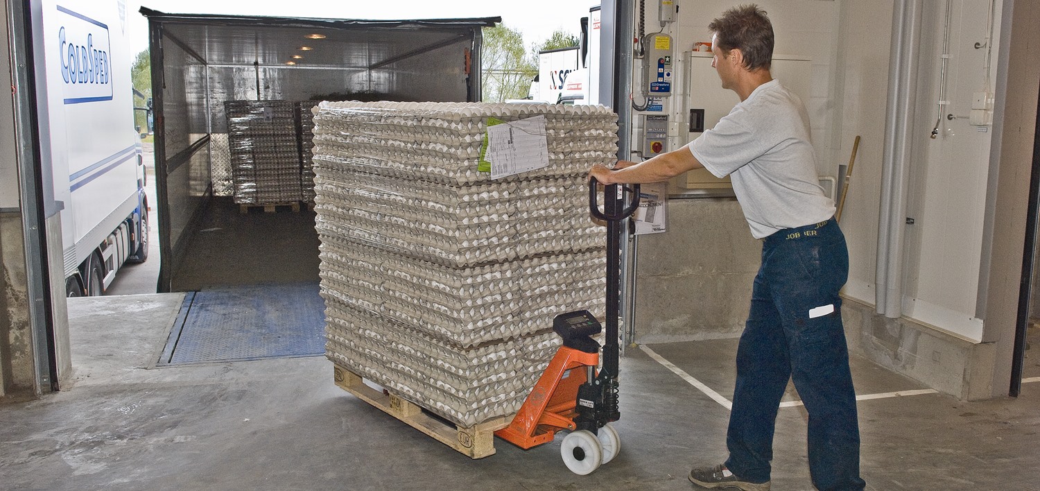 BT Hand Pallet Trucks